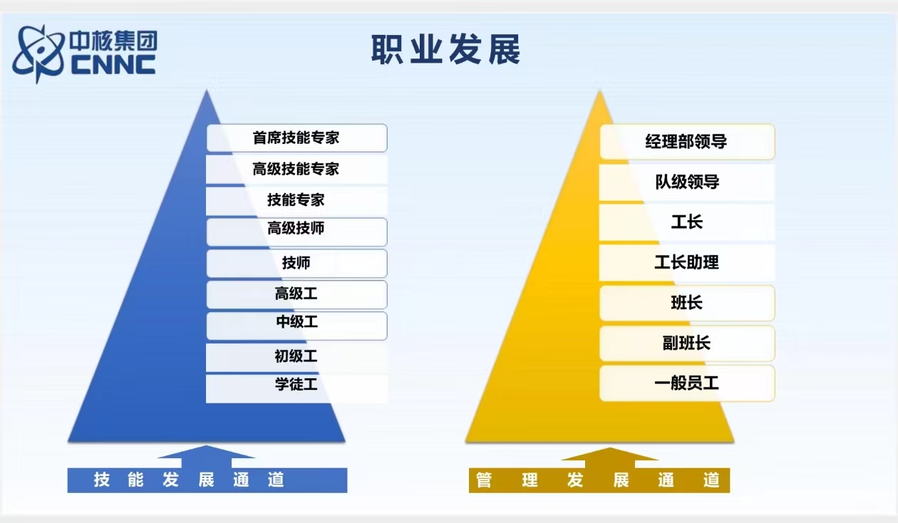 中核集团职业发展双通道